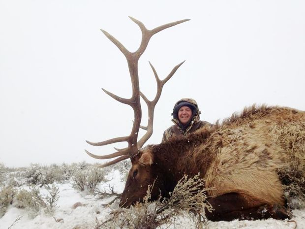Elk